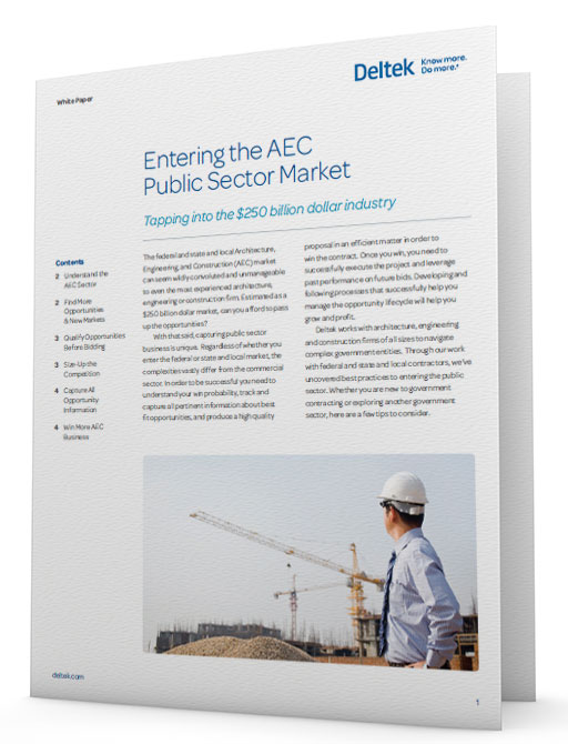 White Paper: Entering the AEC Public Sector Market